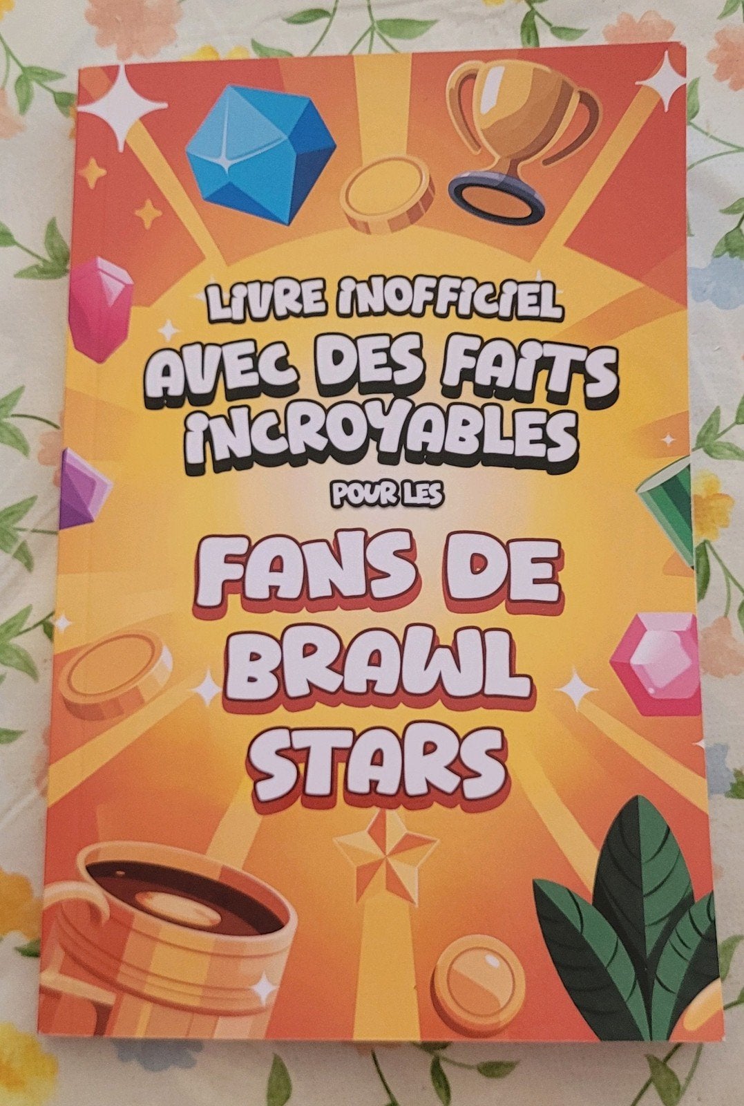 Livre fans de Brawl Stars, Livres, Ésotérisme & Spiritualité, Enlèvement ou Envoi, Comme neuf