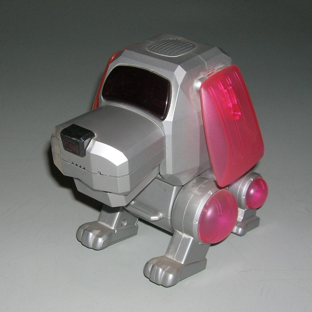 Robot hondje, Ophalen