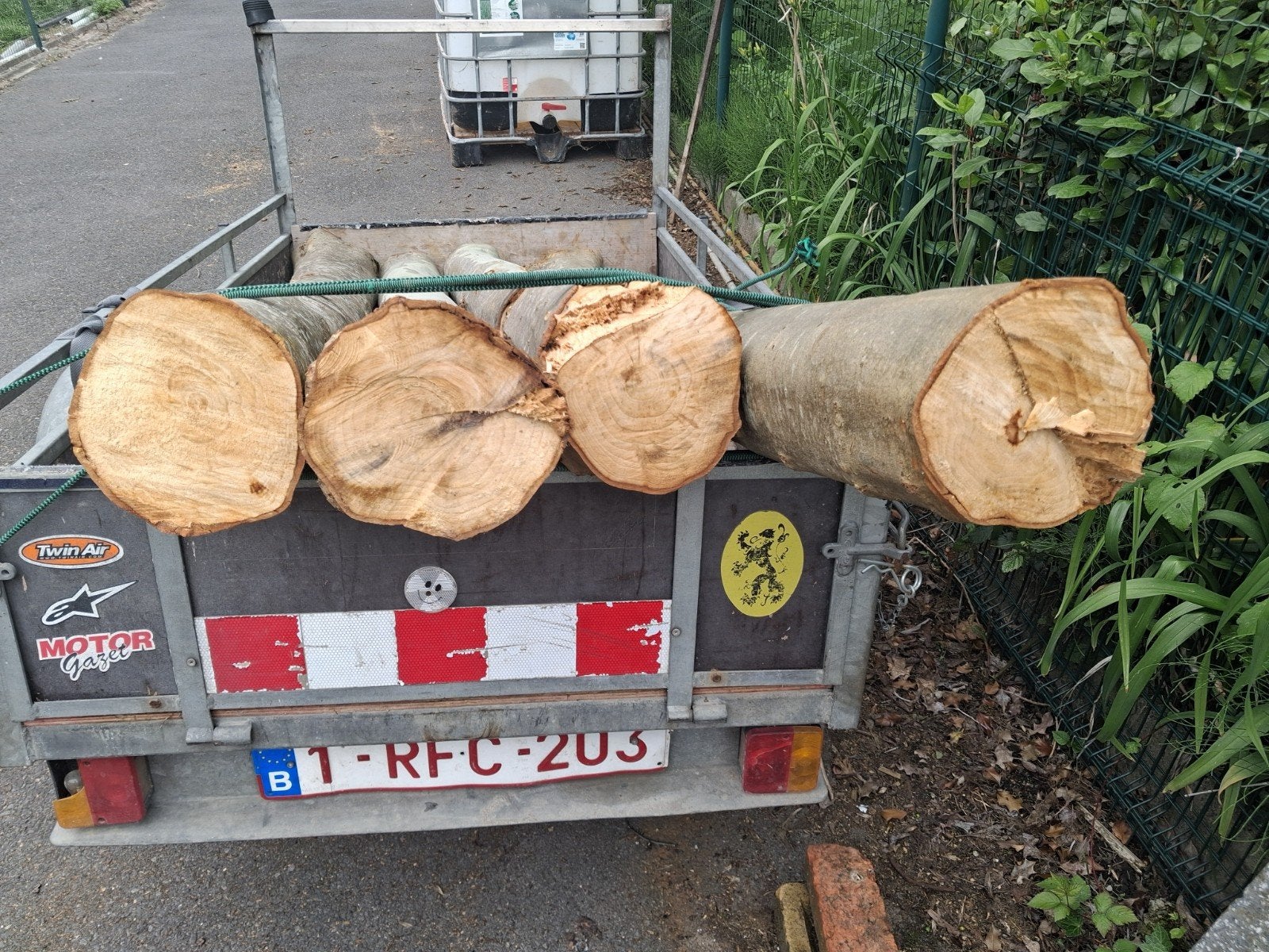 Plataan diameter 25cm  lengte 220cm 4 stammen, Ophalen
