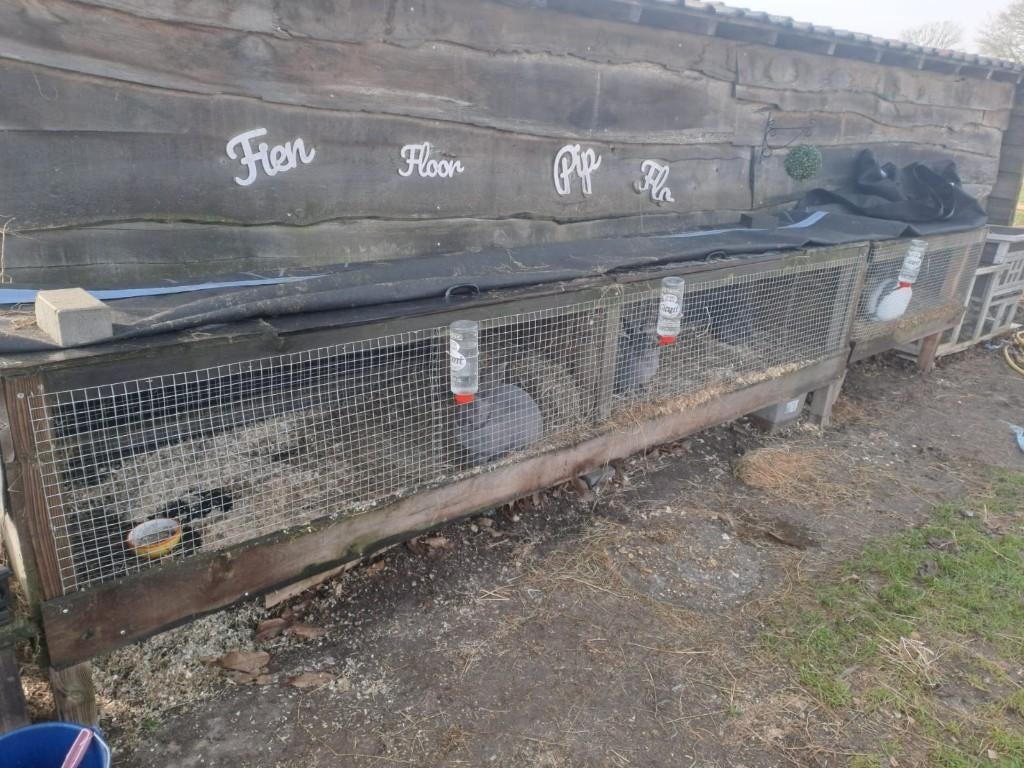 Konijnen hok kooi, Dieren en Toebehoren, Ophalen, Hok