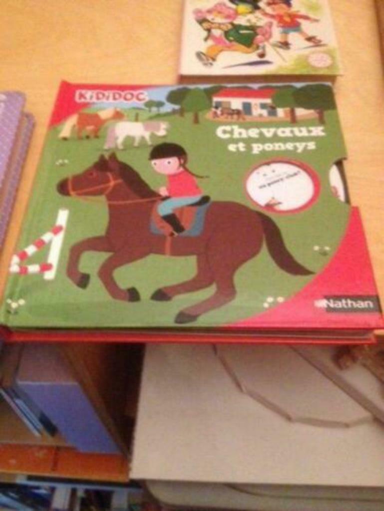 kididOc chevaux et poneys, Boeken, Ophalen