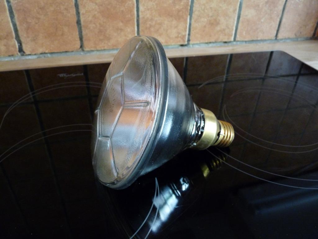 PAR 38 lampen, Huis en Inrichting, Lampen | Spots, Nieuw, Ophalen