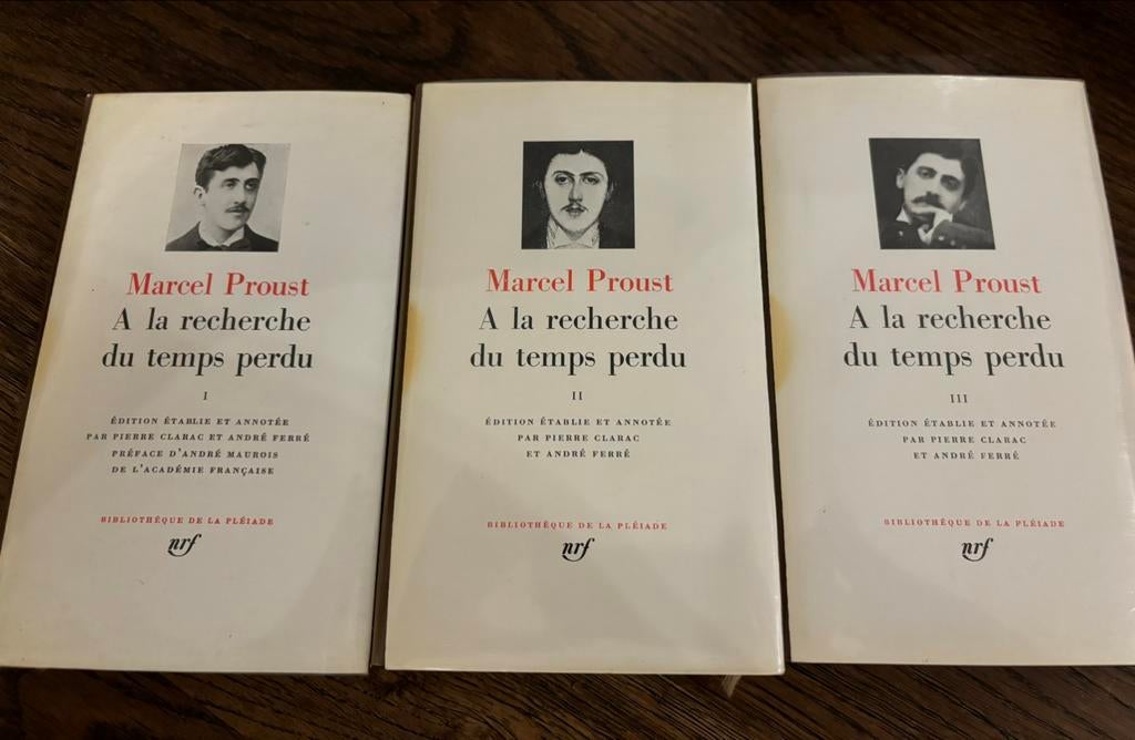 Marcel Proust - A la recherche du temps perdu - Pléiade, Boeken, Ophalen of Verzenden, Gelezen, Marcel Proust
