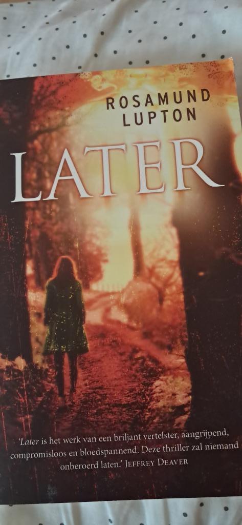 Boek thriller ´Later´, Boeken, Thrillers, Gelezen, Ophalen