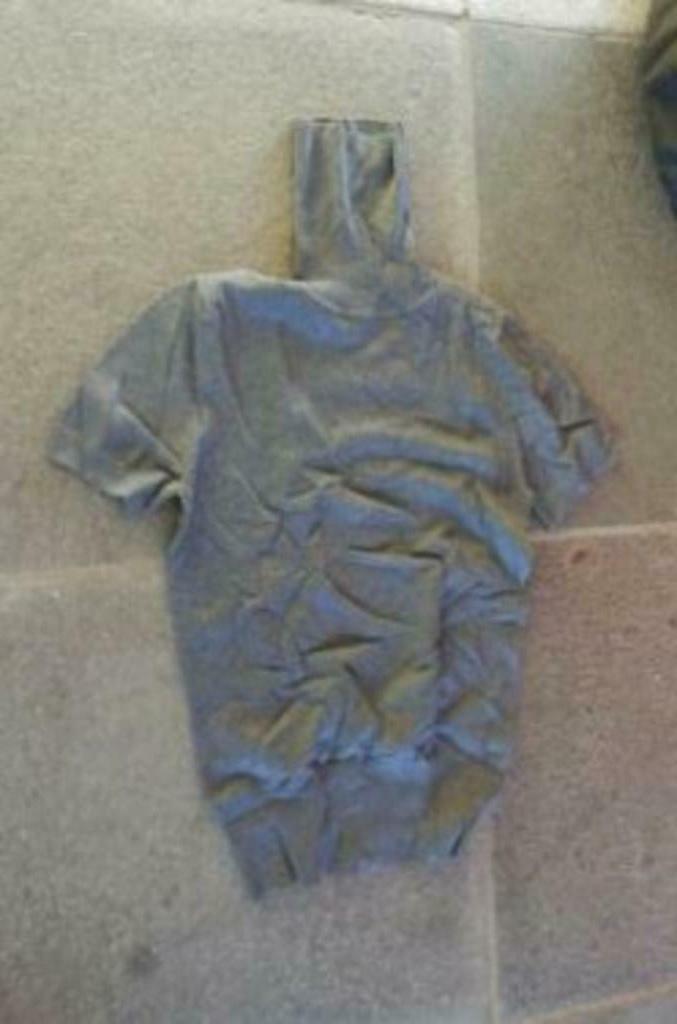 [3523] trui grijs met rolkraag korte mouwen nieuwstaat, Kleding | Dames, Truien en Vesten, Bel en Bo, Ophalen of Verzenden, Zo goed als nieuw