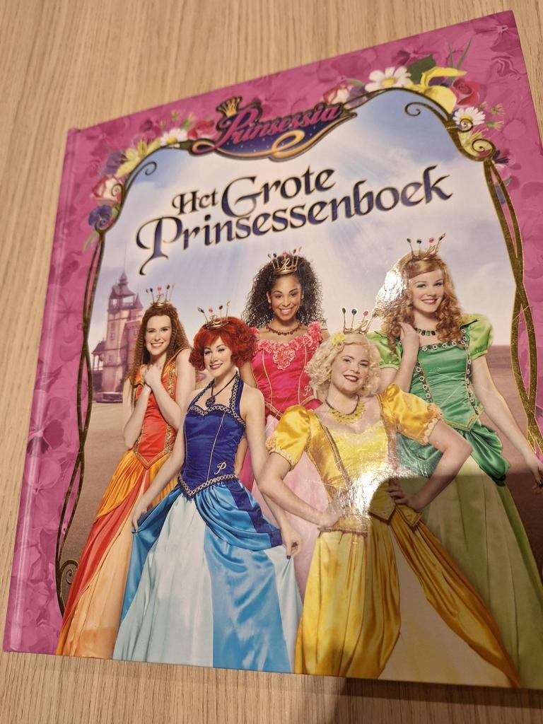 Het grote prinsessenboek, Ophalen of Verzenden, Zo goed als nieuw