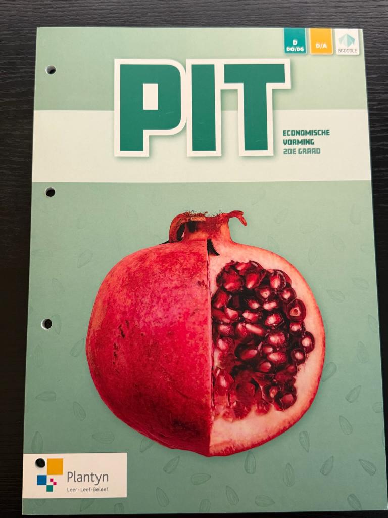 PIT Economische vorming 2de graad, Boeken, Ophalen, ASO, Plantyn, Economie
