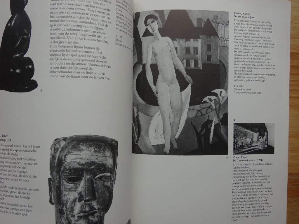 Van realisme tot expressionisme in de Belgische kunst, 1982, Ophalen of Verzenden, Gelezen, Schilder- en Tekenkunst