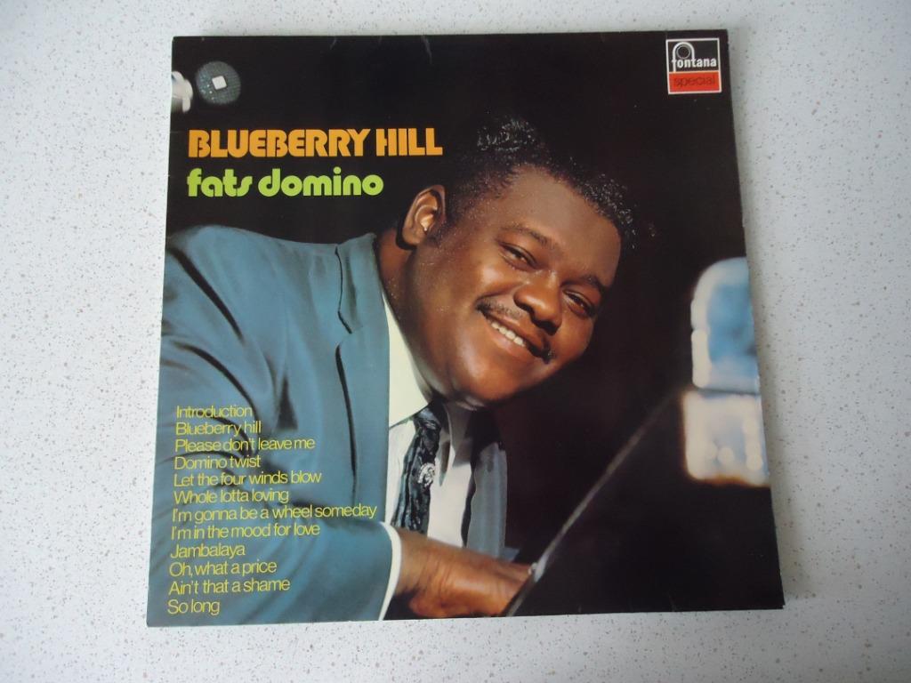 LP van " Fats Domino" Blueberry Hill anno 1965., Ophalen of Verzenden, Zo goed als nieuw, 12 inch