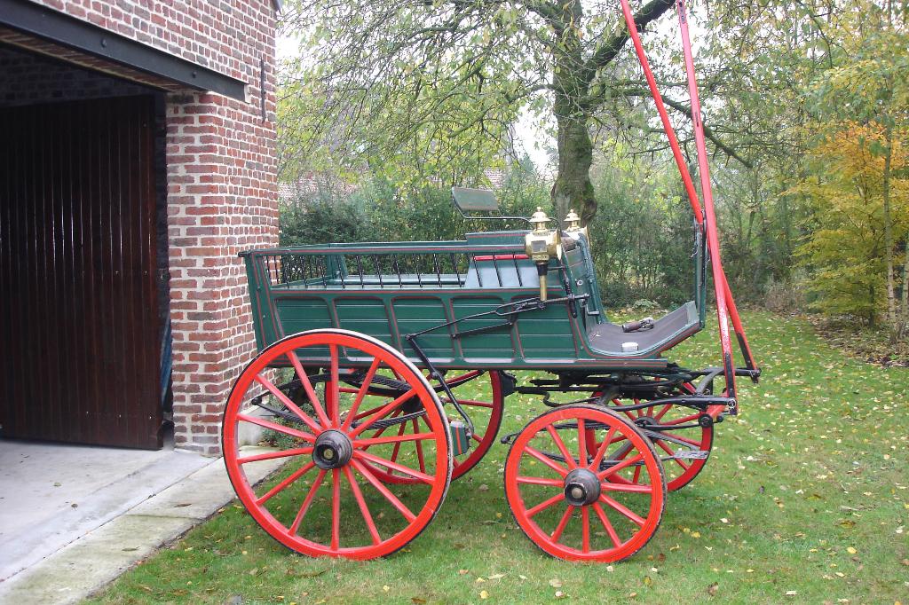 Calèche de loisirs, Utilisé, Autres types, Cheval