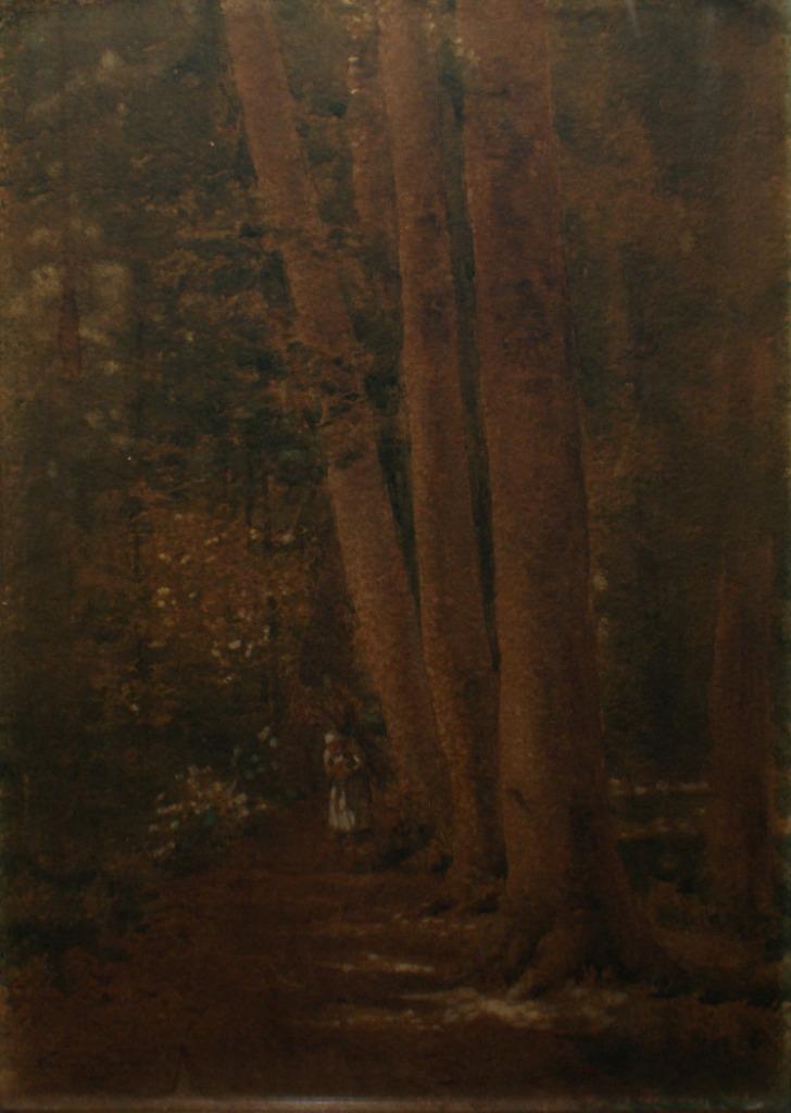 Edmond Richard (1854-???): Boszicht (42 x 56 cm), Antiquités & Art, Art | Peinture | Classique, Enlèvement ou Envoi