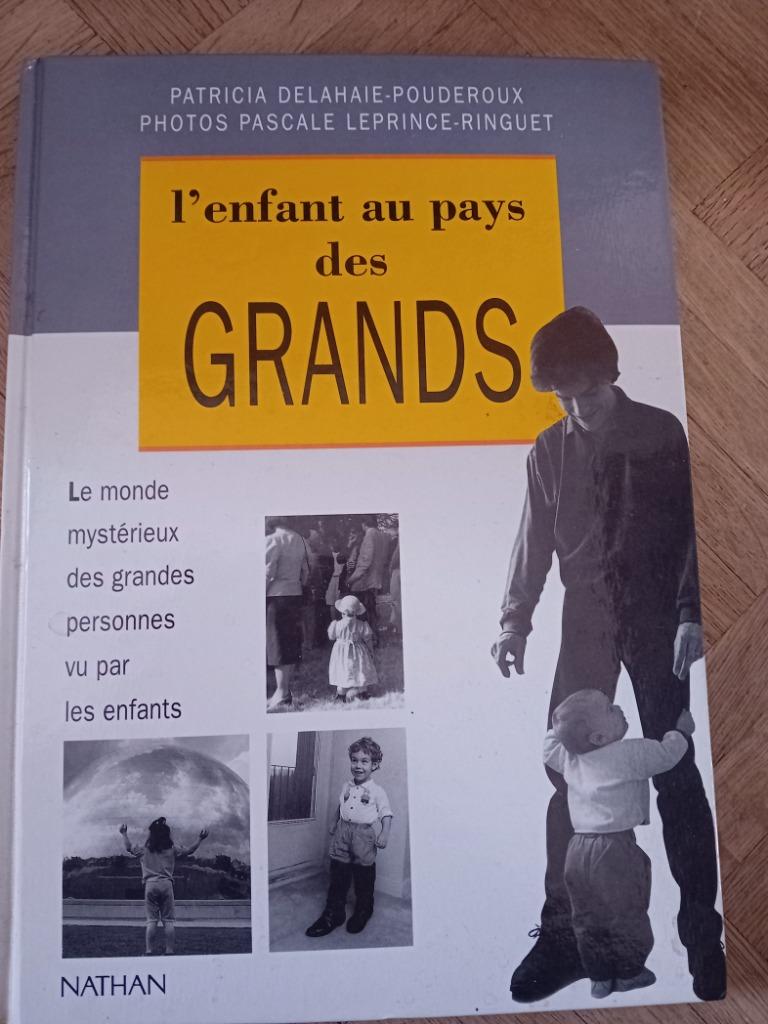 Livre l enfant au pays des grands Patricia delahaie, Livres, Grossesse & Éducation, Enlèvement ou Envoi