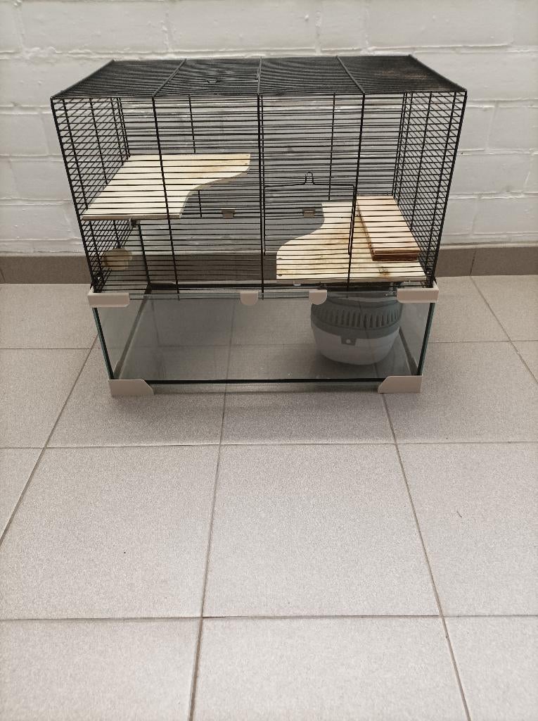 knaagdieren kooi, Ophalen, Zo goed als nieuw