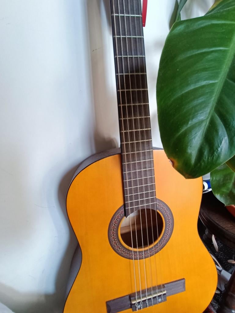 Akoestische gitaar van Stagg, Muziek en Instrumenten, Ophalen, Zo goed als nieuw