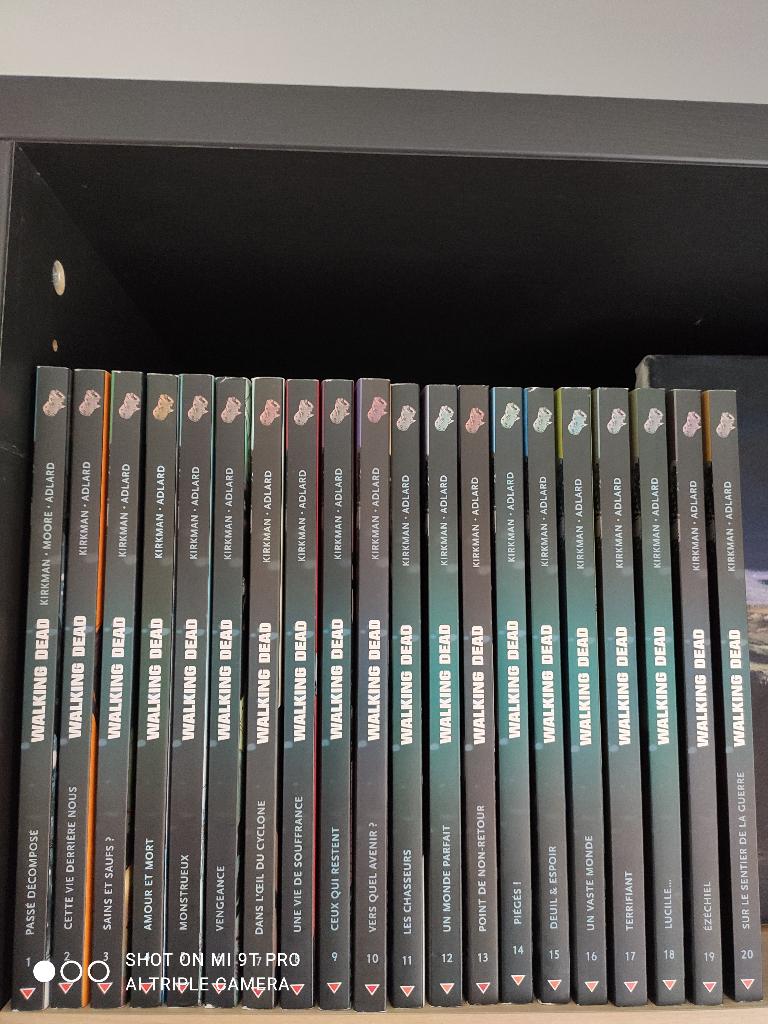 Walking Dead, Comme neuf, Enlèvement, Plusieurs comics, Amérique
