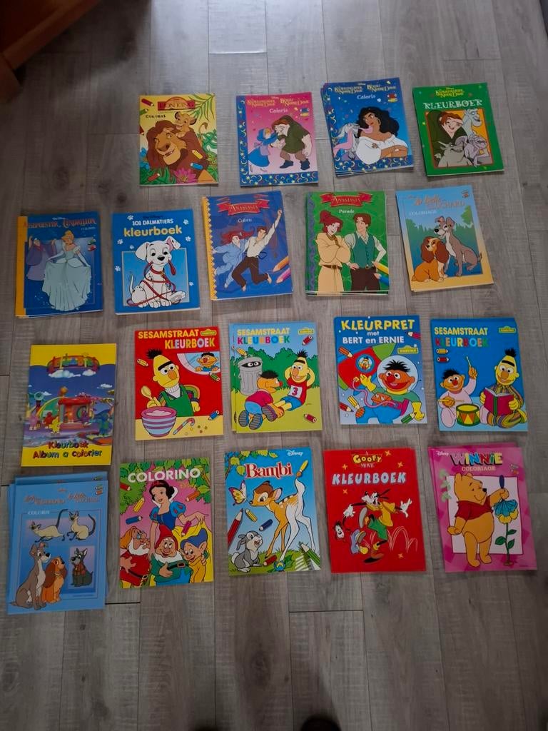 Lotje kleurboeken met 16 kleurplaten om in te kleuren, Livres, Livres Autre, Enlèvement