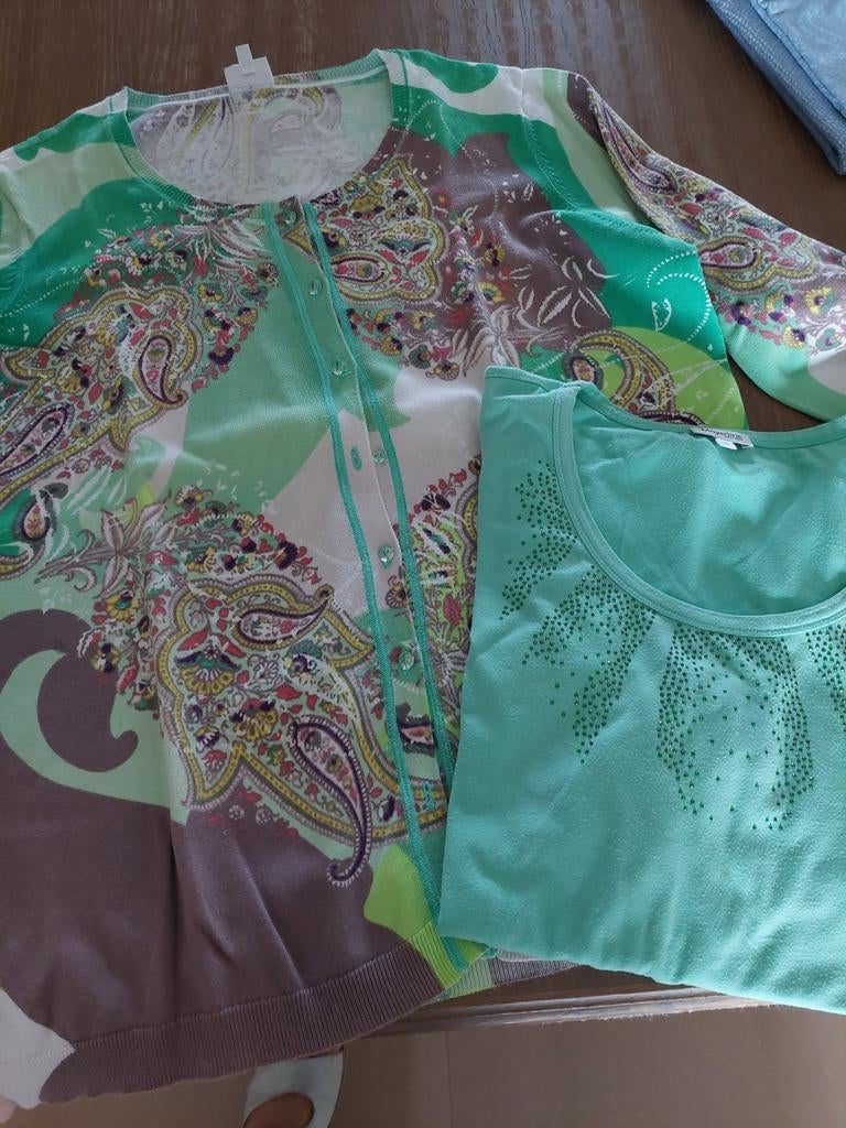 Dames gilet+T shirt maat large, Ophalen, Zo goed als nieuw