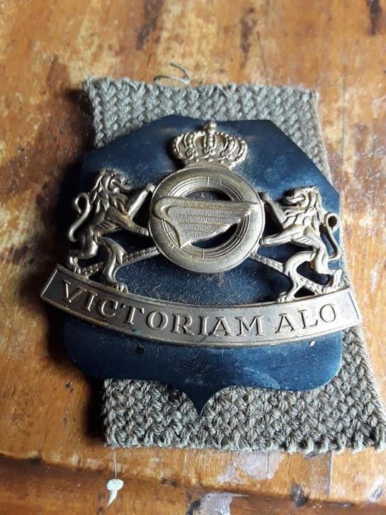 Belgisch militair insigne van het transportregiment, Ophalen of Verzenden