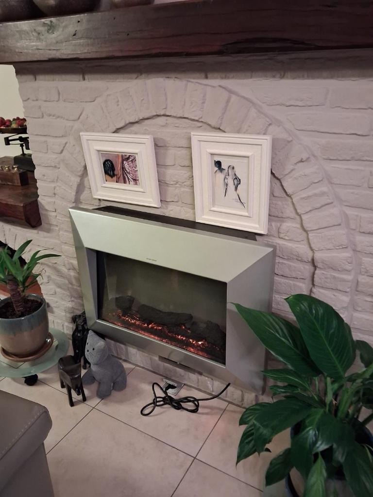 Elektrisch haardvuur, Huis en Inrichting, Haarden, Ophalen, Zo goed als nieuw, Inbouwhaard, Elektrische haard