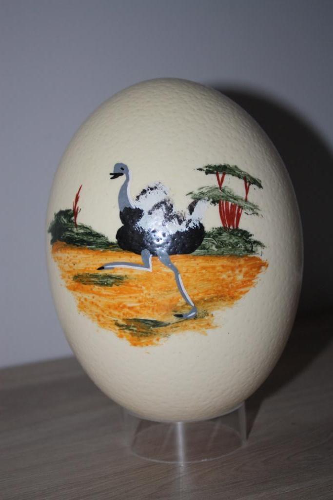 Beschilderd Struisvogel ei , souvenir 16 cm hoog + ring 6 cm, Enlèvement ou Envoi, Comme neuf, Oiseaux, Autres types