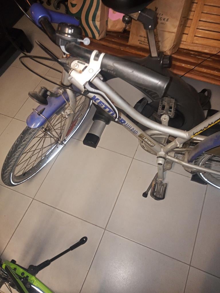 Kettler Alu-Rad damesfiets, Fietsen en Brommers, Versnellingen, Ophalen, Overige merken, 53 tot 56 cm