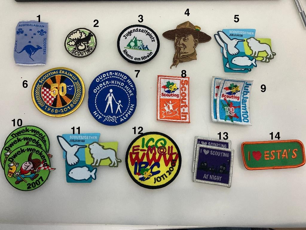 Scouting insigne / badge, Ophalen of Verzenden, Nieuw, Embleem, Speld of Insigne