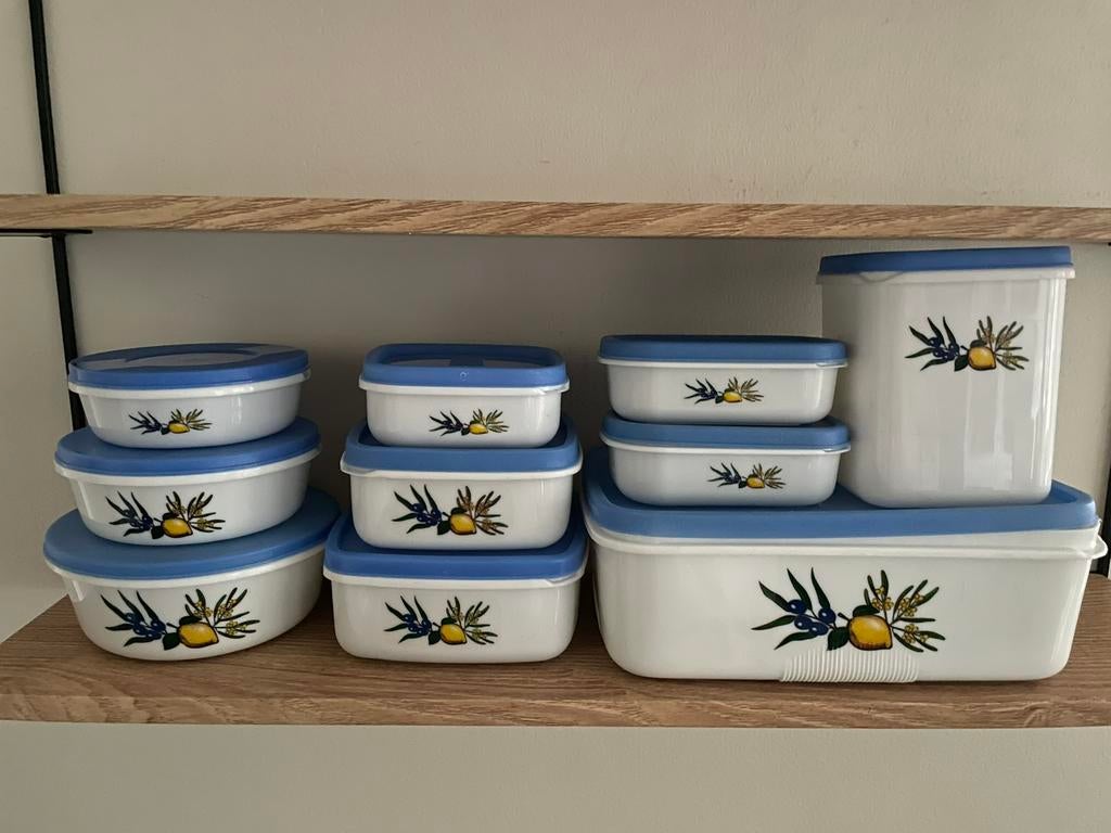 Set 10 plastic bewaardozen, Ophalen of Verzenden, Zo goed als nieuw, Wit, Overige typen