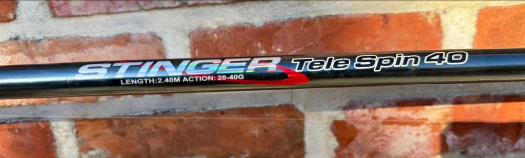 Vislijn Stinger getuigd met Daiwa 130RL molen, Enlèvement, Utilisé, Ligne de pêche