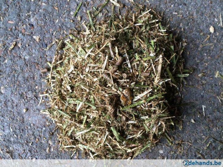 Kalveropfok mengeling 20KG Agrodieren, de beste prijs, Zakelijke goederen, Landbouw | Werktuigen, Veehouderij, Overige typen, Ophalen of Verzenden