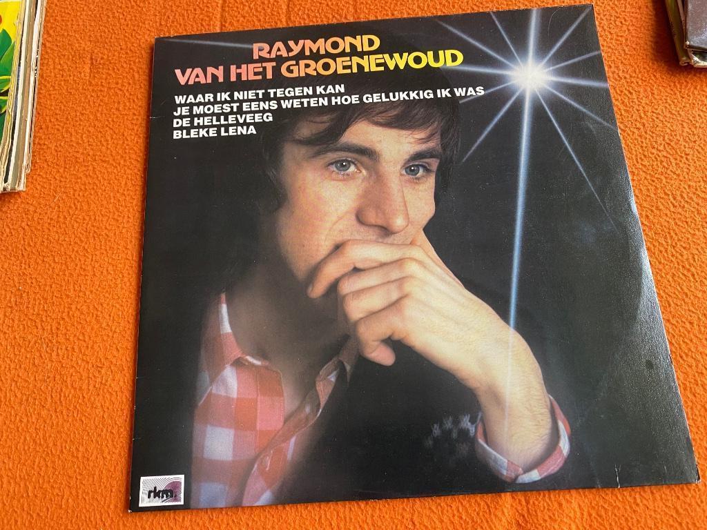 Raymond van het Groenewoud, Cd's en Dvd's, Vinyl | Nederlandstalig, Ophalen of Verzenden