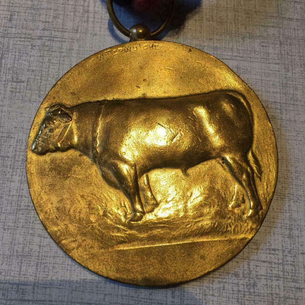 Médaille Veepryskamp Joseph Witterwulghe Wetteren, voir desc, Timbres & Monnaies, Pièces & Médailles, Autres matériaux, Enlèvement ou Envoi