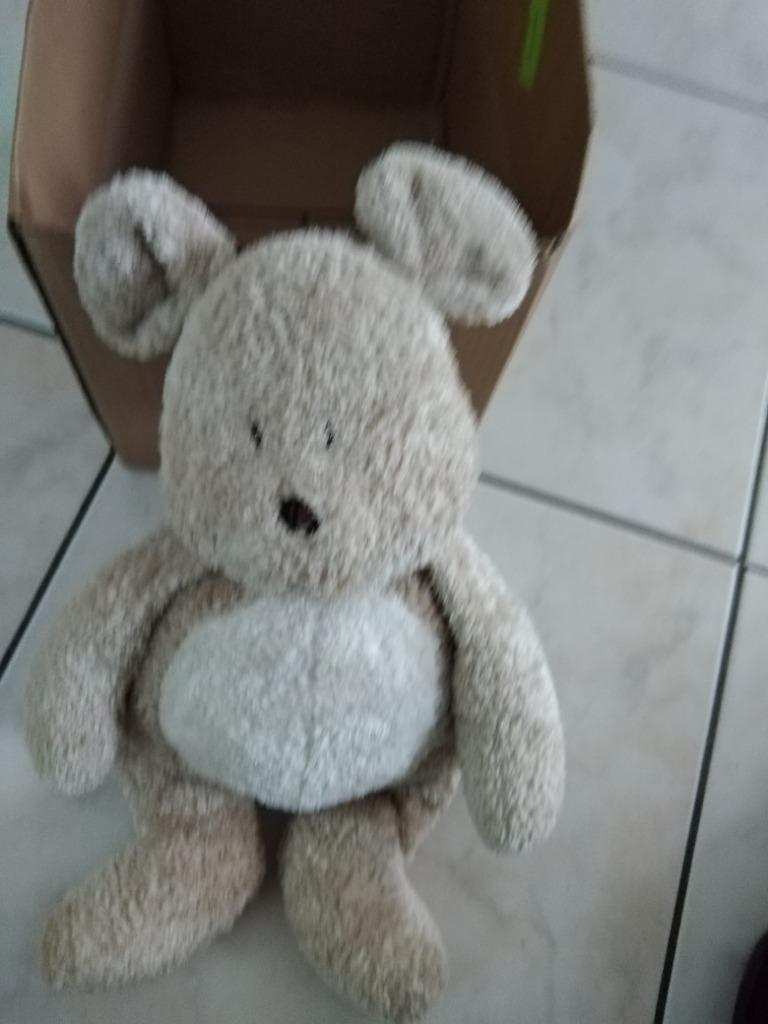 knuffel dimpel beer (doos 109), Enlèvement ou Envoi, Neuf, Ours