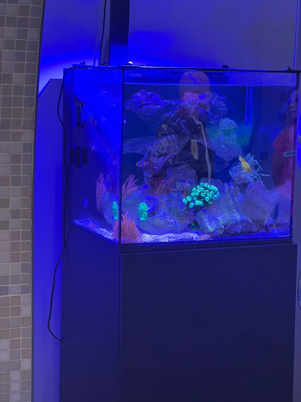 Aquarium 90 litres, Ophalen of Verzenden, Pomp, Zo goed als nieuw, Sera