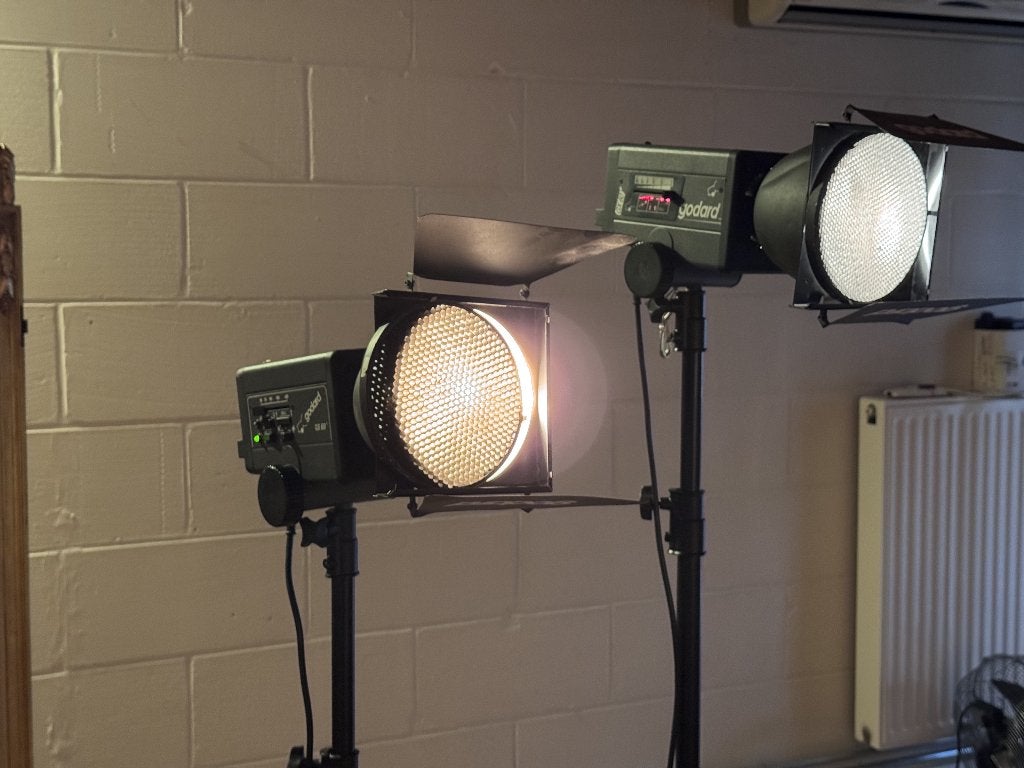 Godard studioflitsen, Audio, Tv en Foto, Ophalen, Gebruikt, Dimbaar, Overige merken