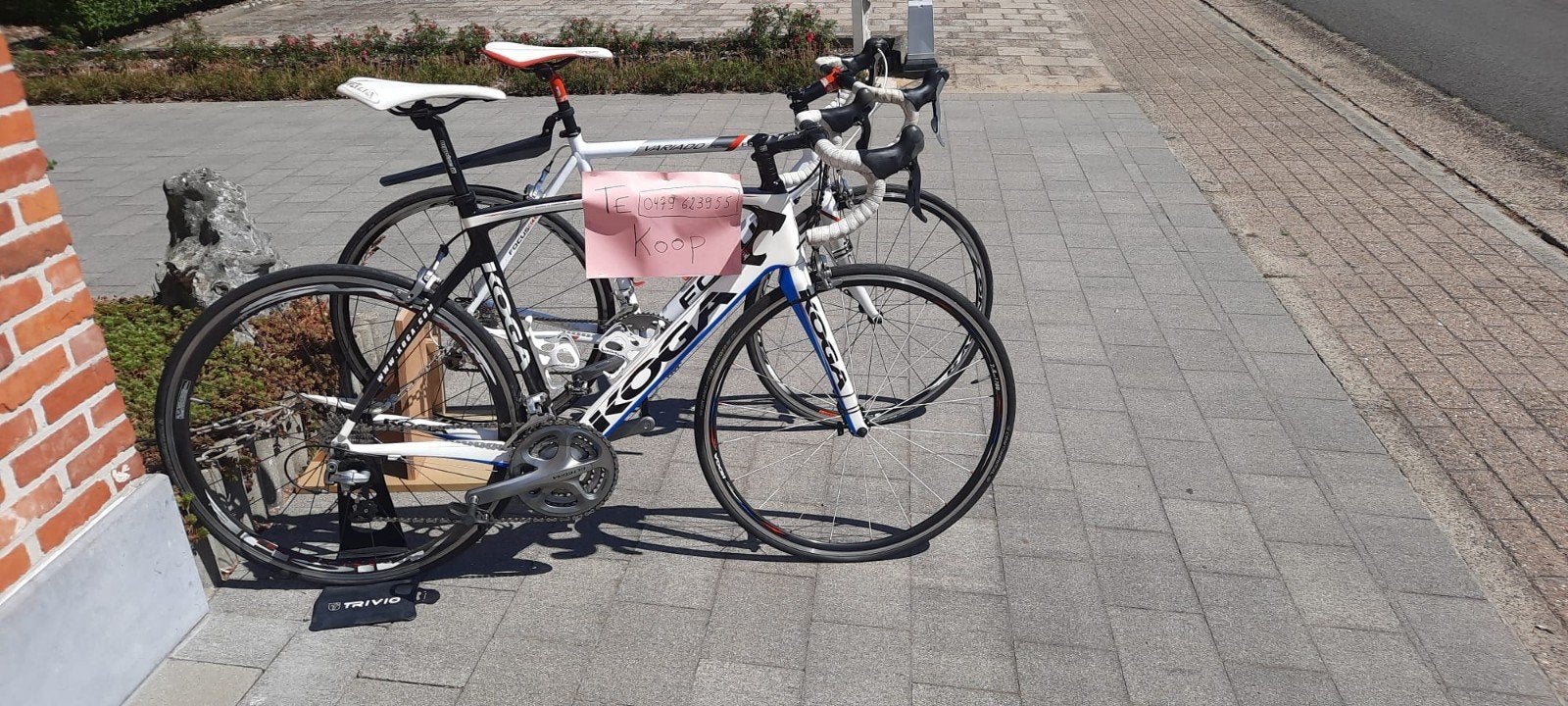 koersfietsen Koga en Focus, Fietsen en Brommers, Ophalen