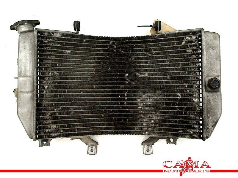 RADIATEUR Suzuki GSX R 1000 2003-2004 (GSXR1000 K3 / K4), Motoren, Dhr. S. di Majo, Gebruikt, Info@cama-motorparts.nl, P.J. Troelstraweg 8 8
3144 CX  MAASSLUIS, NL