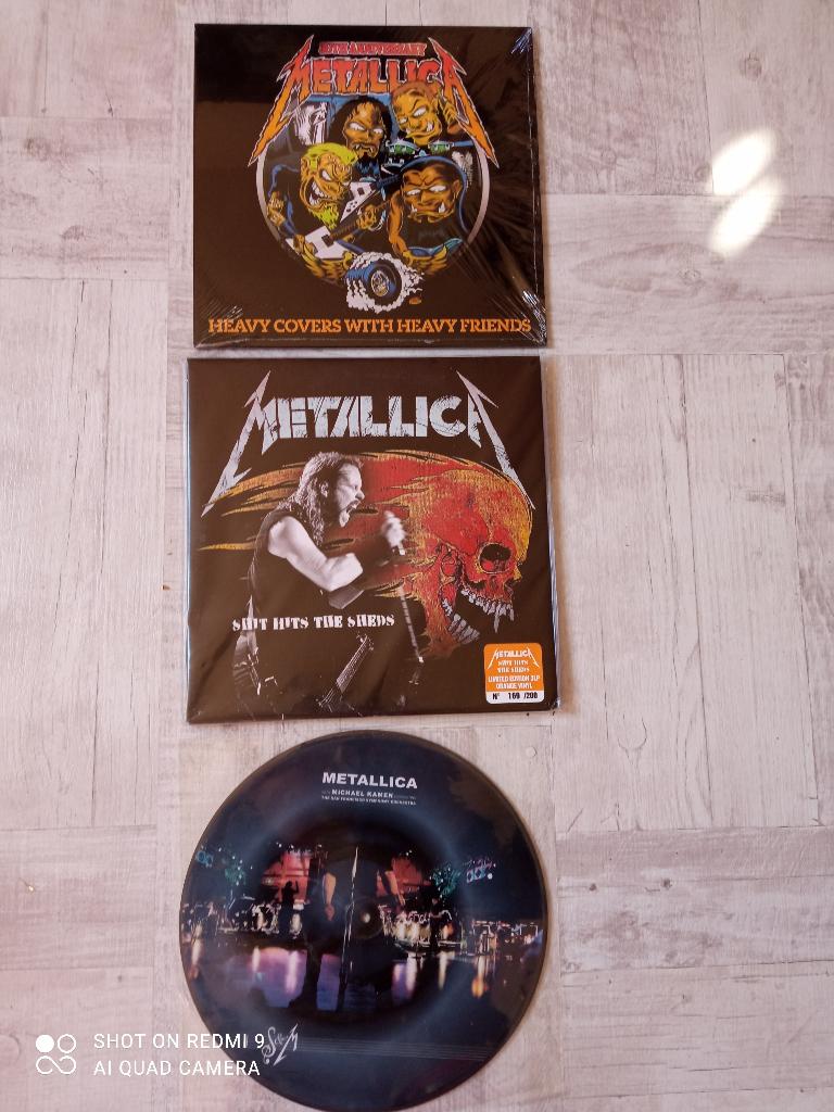 SIN89/Metallica/Limp Bizkit/Burzum/Mad Season, Cd's en Dvd's, Ophalen of Verzenden, Zo goed als nieuw, 12 inch