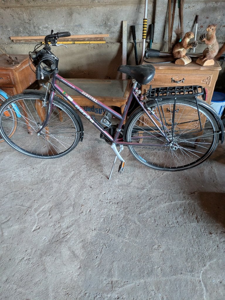 Damesfiets Norta, Ophalen, Gebruikt, Velgrem, Versnellingen