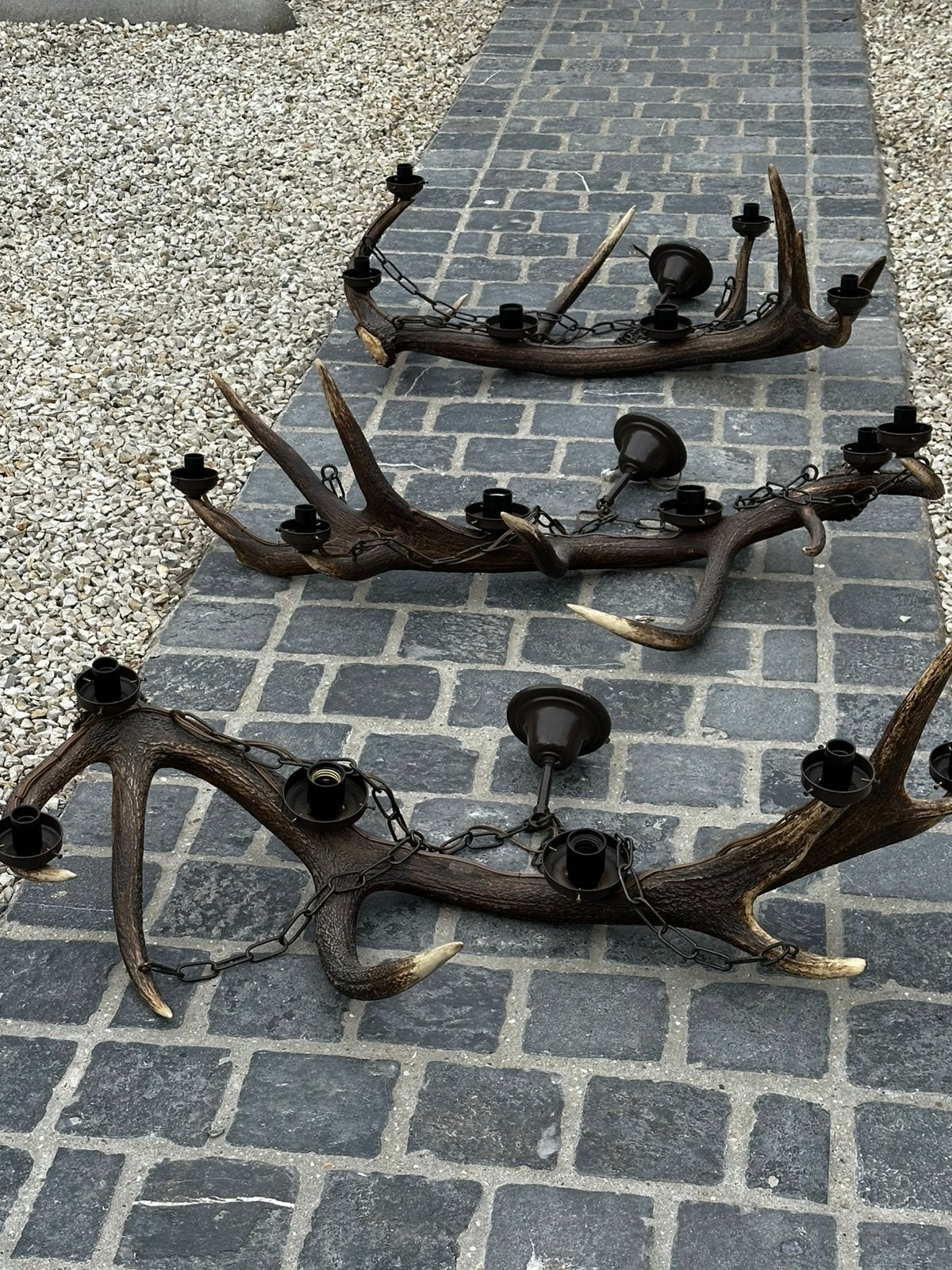 Gewei lusters van edelherten, Ophalen
