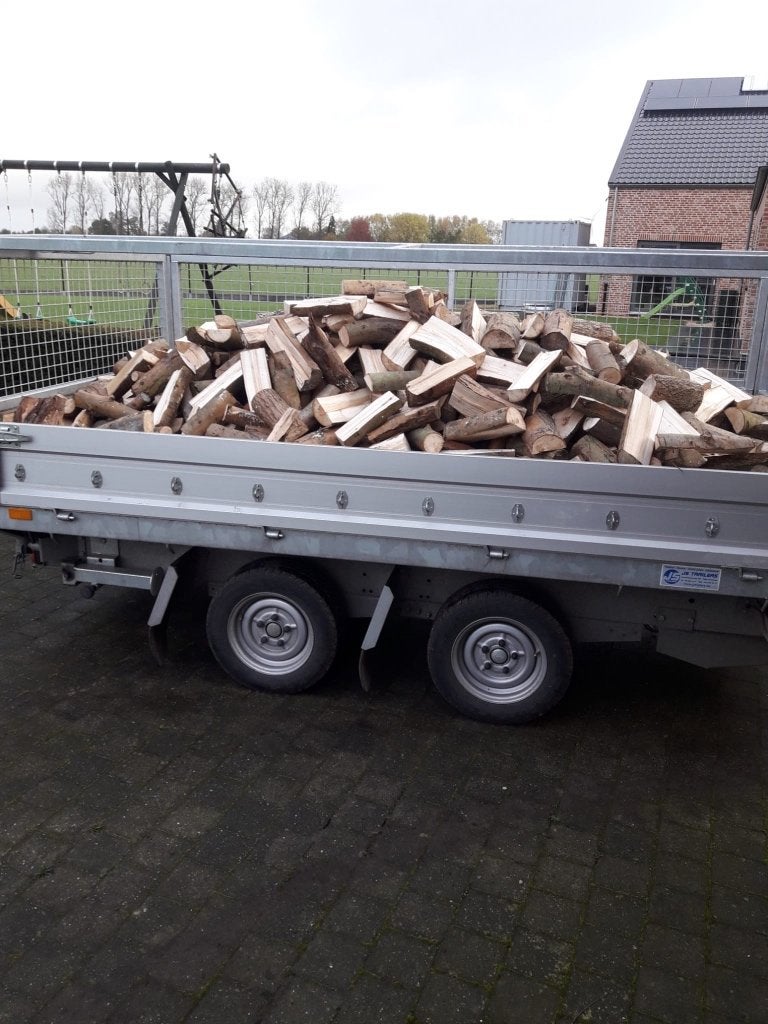 Brandhout (wilg), Tuin en Terras, Ophalen of Verzenden, Overige houtsoorten, Blokken