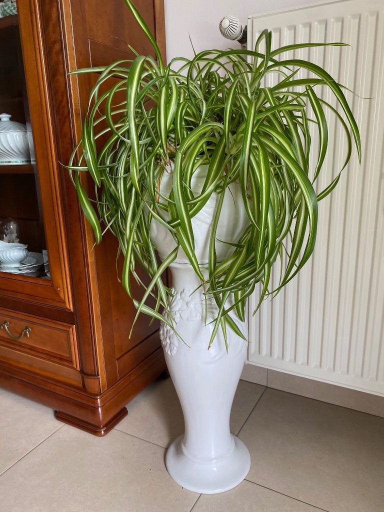 Stenen bloempot op voet, Tuin en Terras, Bloempotten, Gebruikt, Steen, Binnen, Balkon, 70 cm of meer, 25 tot 40 cm, Overige vormen