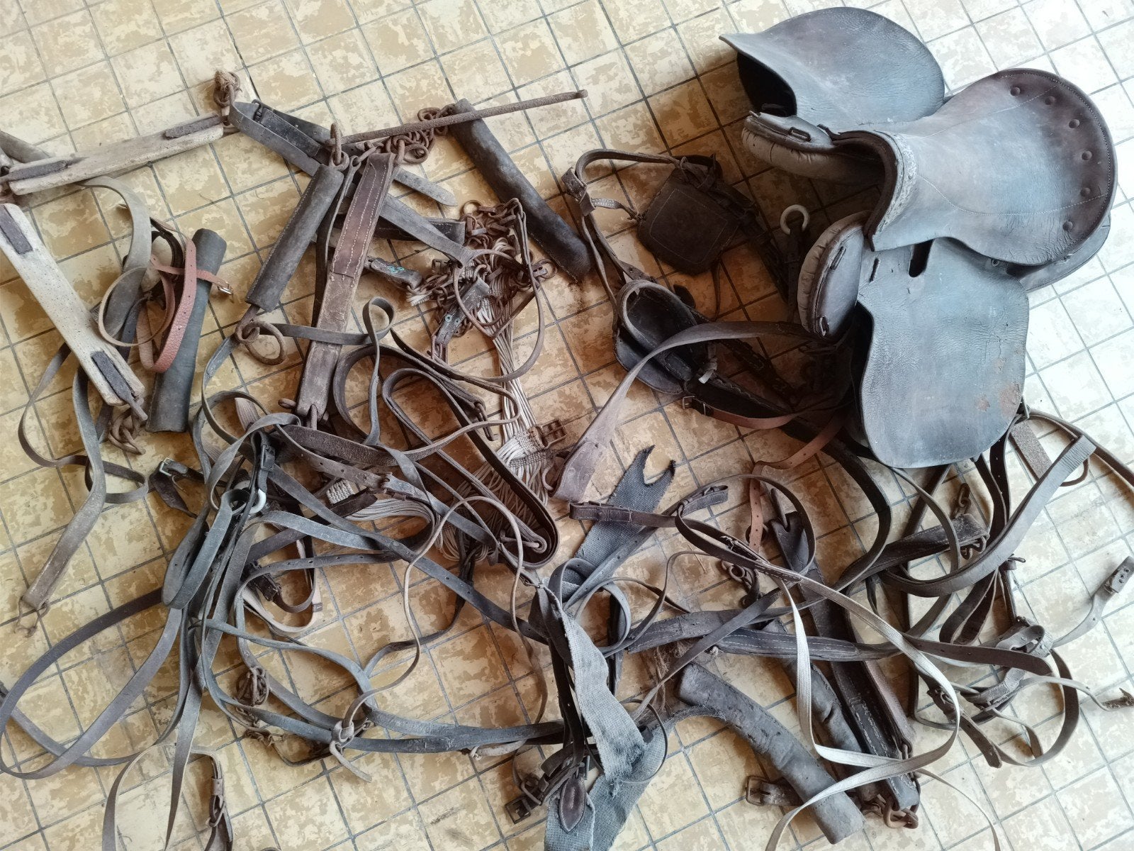 Lot de harnais pour chevaux, Collections, Enlèvement