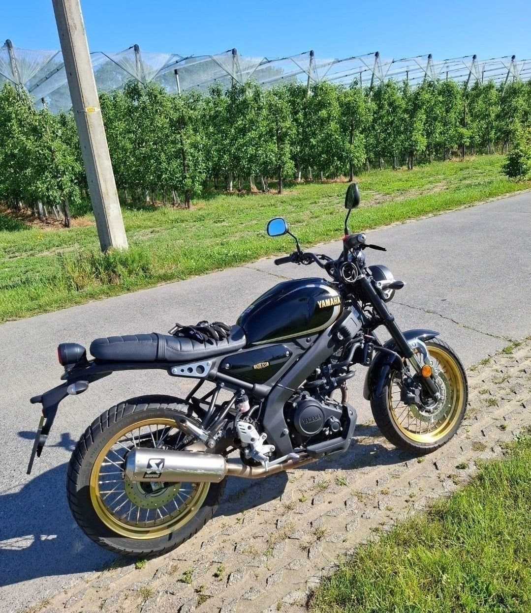 Yamaha 125cc Gold Edition met Akrapovivic als nieuw, Motoren, Motoren | Yamaha, Sportuitlaat, Occasion, Particulier, 125 cc