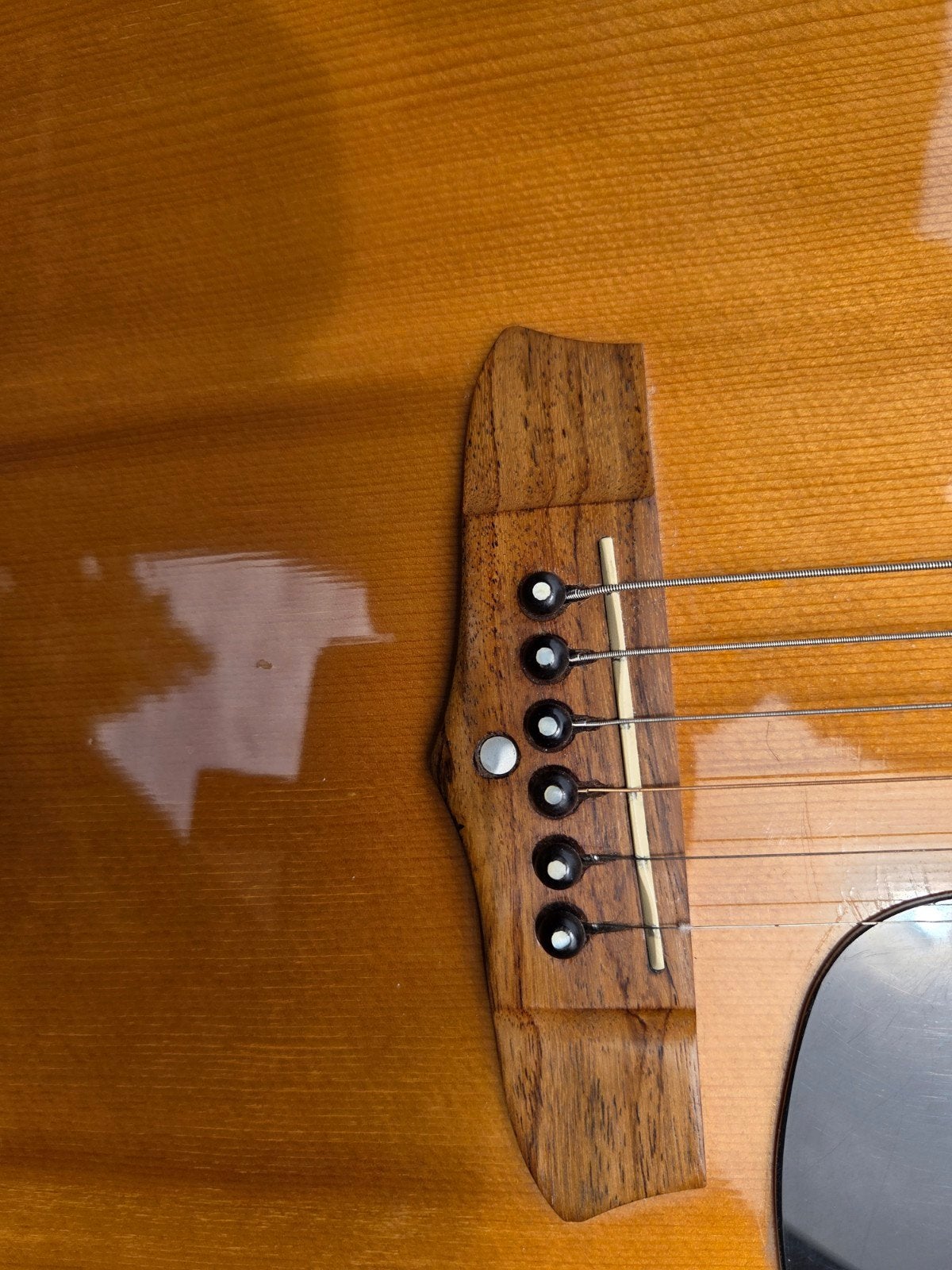 Guitare acoustique ARIA, Enlèvement