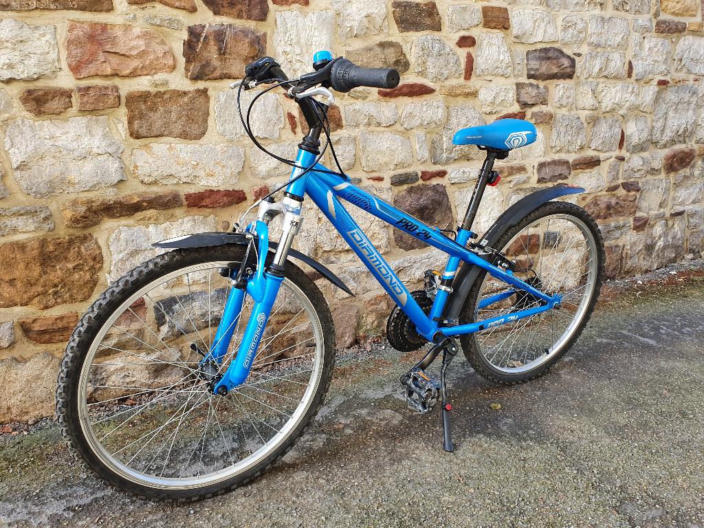 Vélo enfant DIAMOND 24", Fietsen en Brommers, Ophalen, Gebruikt, 20 inch of meer