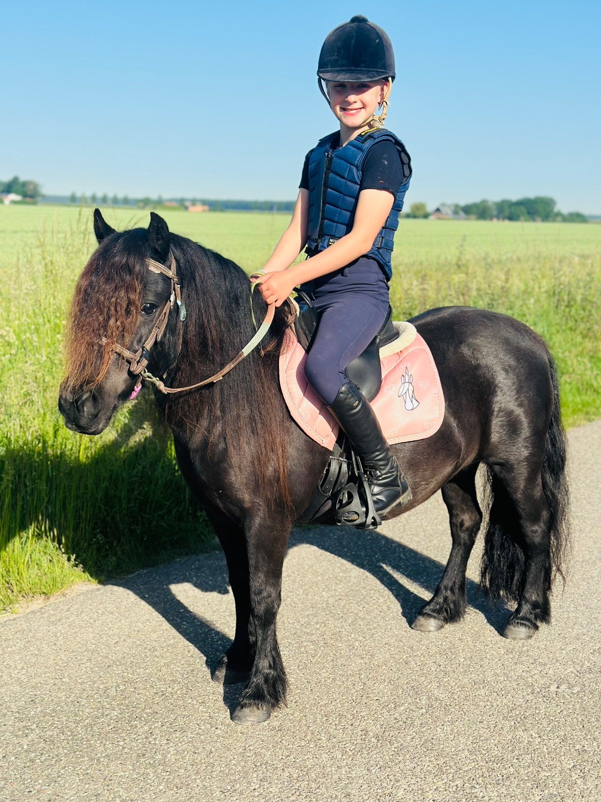 Knappe bereden shetlander merrie, Dieren en Toebehoren, Merrie, Met stamboom, Zadelmak, A pony (tot 1.17m)