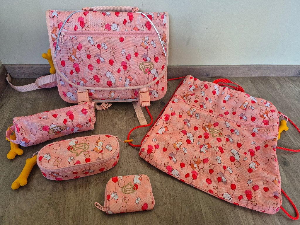 Boekentas Stones & Bones set, Handtassen en Accessoires, Tassen | Schooltassen, Ophalen of Verzenden, Zo goed als nieuw, Aktetas of Boekentas