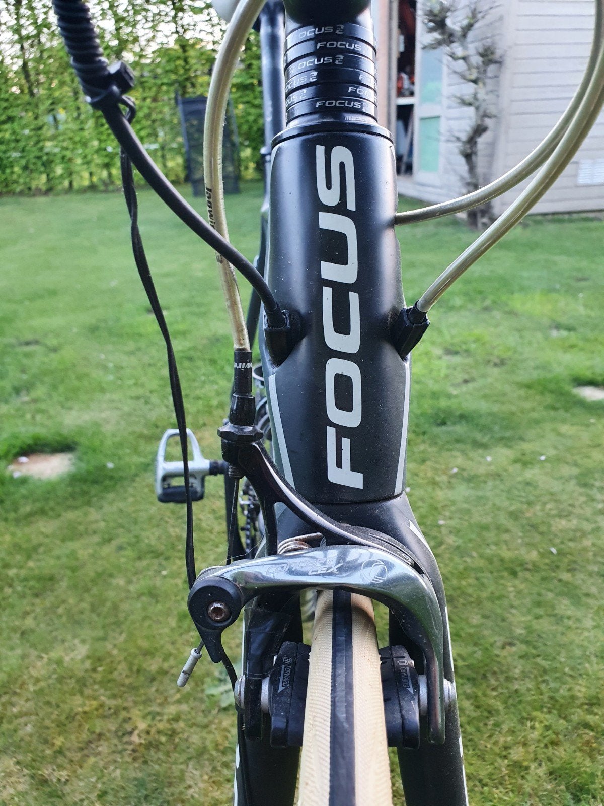 Racefiets Focus, Ophalen