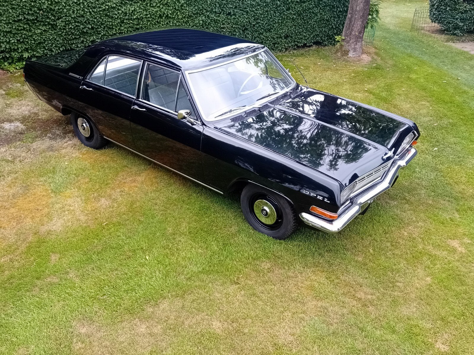 Opel kapitan A, Autos, Particulier, Achat, Opel