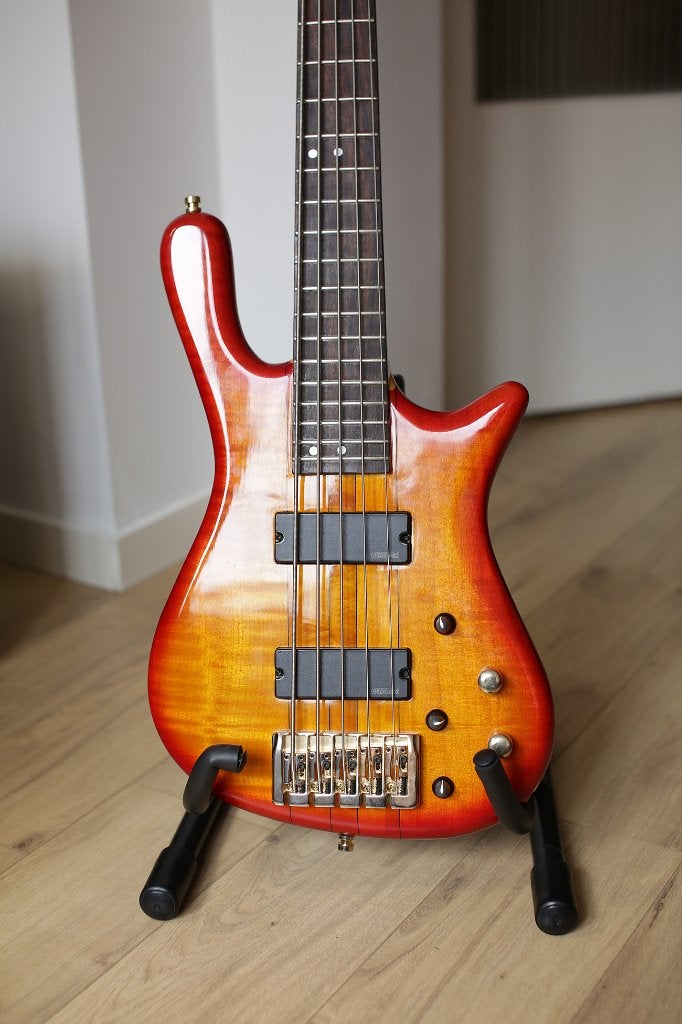 5-string Warwick-inspired bass, Muziek en Instrumenten, Snaarinstrumenten | Gitaren | Bas, Ophalen, Zo goed als nieuw, Elektrisch